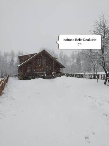 Фото номера Дом для отпуска Дома для отпуска Cabana Belis Dealu Negru г. Белиш 119
